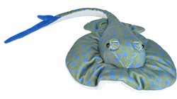 Blue Spotted Ray 30-38cm