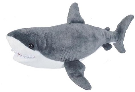 Great White Shark 30-38cm