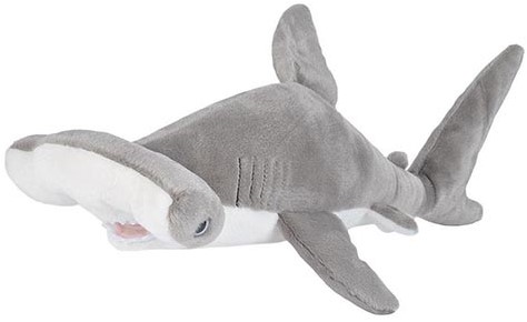 Hammerhead shark 30-38cm