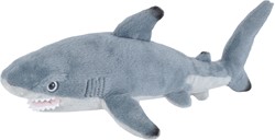Black Tip Shark 30-38cm