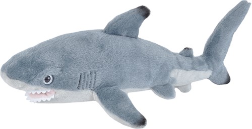 Black Tip Shark 30-38cm