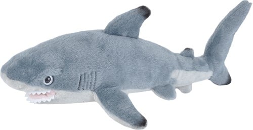 Black Tip Shark 20-25cm