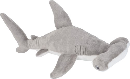 Hammerhead shark 20-25cm