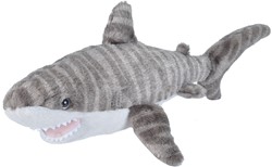 Tiger Shark 20-25cm
