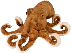 Octopus 20-25cm