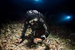 SSI Night Diving & Limited Visibility