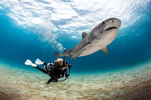 SSI Science of Diving