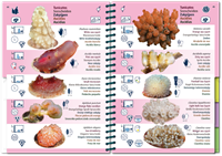 Oostelijke Atlantische Oceaan-8