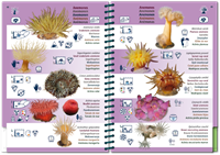 Oostelijke Atlantische Oceaan-10