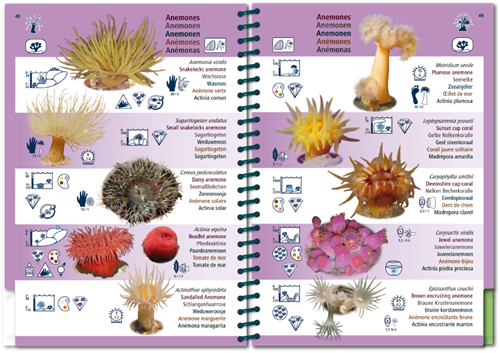 Oostelijke Atlantische Oceaan-10