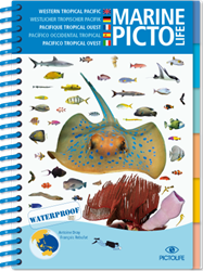 Aziatische Pacific