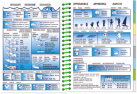Laag Water-2