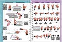 Handsignalen-3