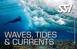SSI Wave Tides & Currents