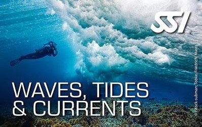 SSI Wave Tides & Currents