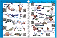 Handsignalen-2