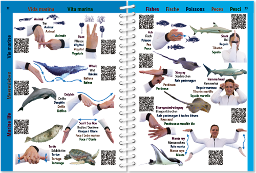 Handsignalen-2