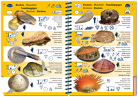 Oostelijke Atlantische Oceaan-4