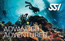 SSI Advanced Adventurer