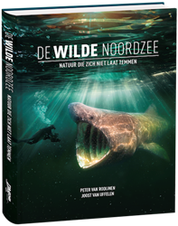 Boek De Wilde Noordzee