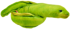 Eel Moray Green 137cm