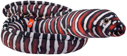 Eel Moray Zebra 137cm