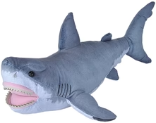 Great White Shark 38-50cm
