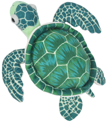 Green Sea Turtle 20-25cm