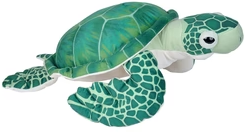 Green Sea Turtle 38-50cm
