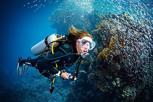 Scuba Skill Update