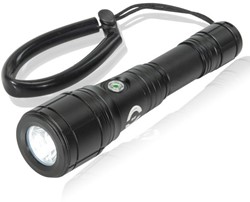 Oceama Duiklamp Ray