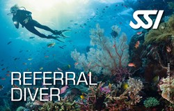 Referral Diver