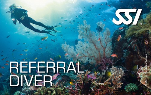 Referral Diver - 24 oktober 2025