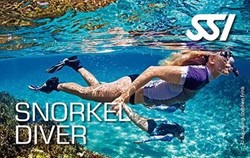 Snorkel Diver - 5 november