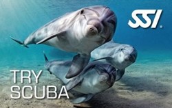Try Scuba  - 25 juni