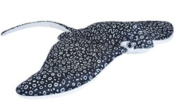 Eagle Ray 30-38cm